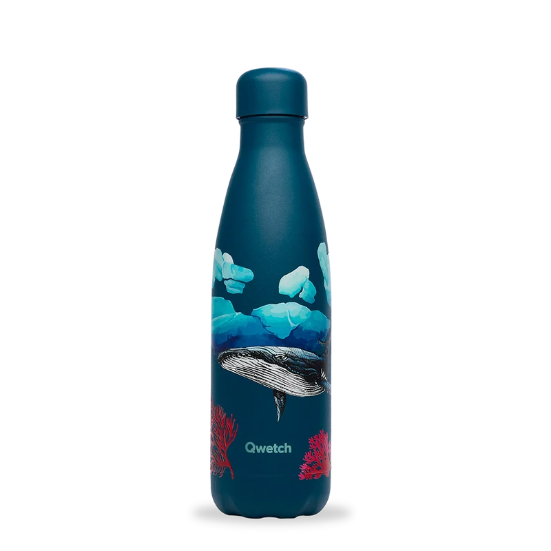 Bouteille isotherme - Originals Banquise Baleine Re-Love