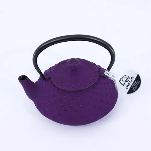 THÉIÈRE EN FONTE JAPONAISEIWACHU MAUVE