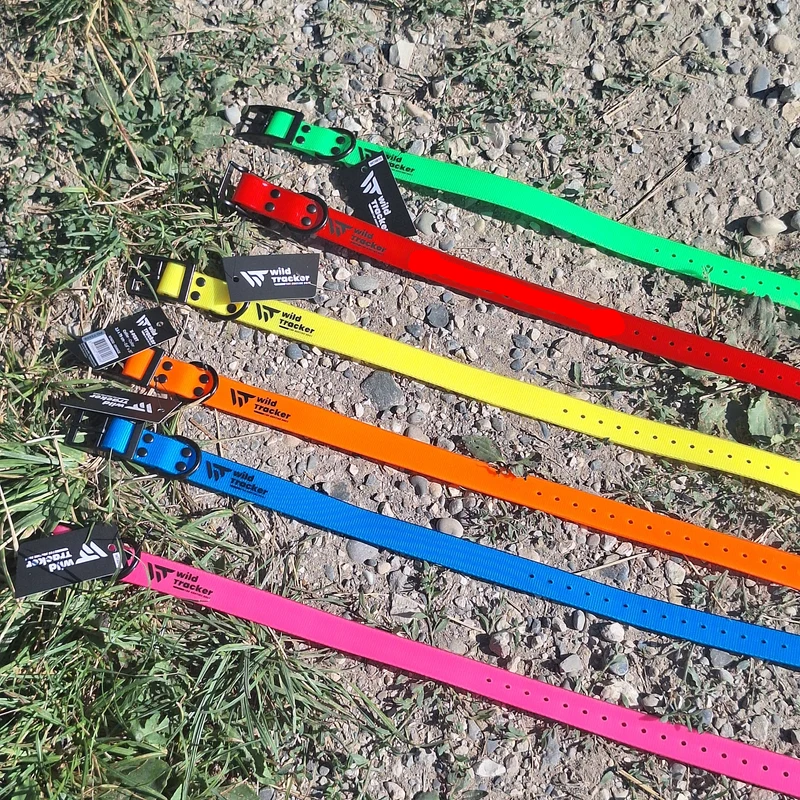 Collier chien de chasse divers coloris