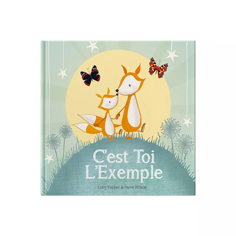 C'est toi l'exemple, Le journal de ta vie