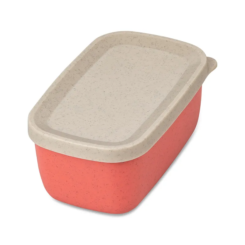Liquid Safe Box CANDY S