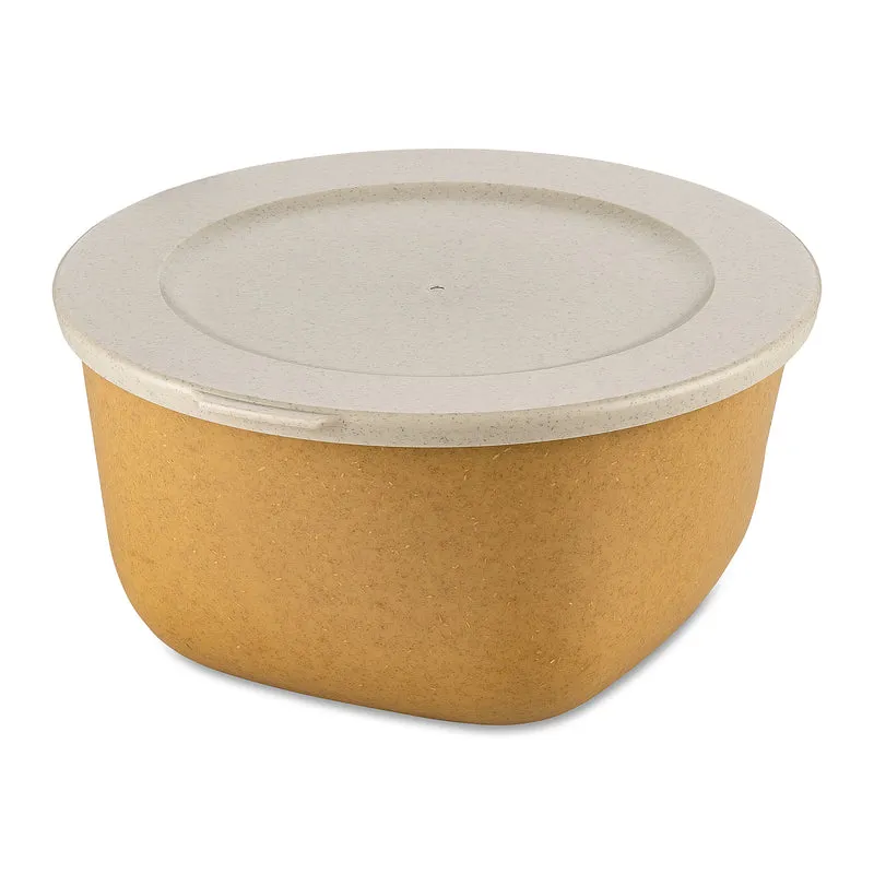 Box mit Deckel CONNECT BOX 2