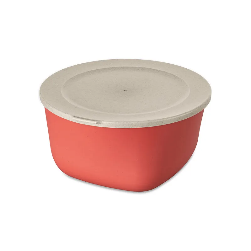 Box mit Deckel CONNECT BOX 4