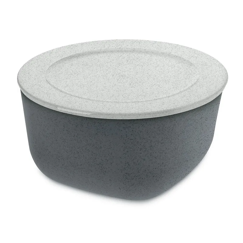 Box mit Deckel CONNECT BOX 2