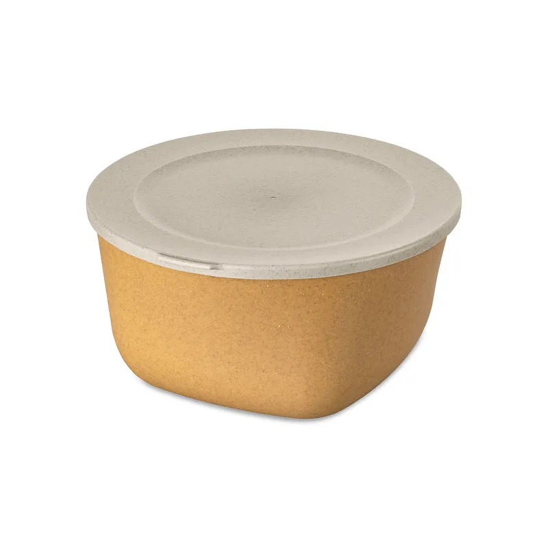 Box mit Deckel CONNECT BOX 4