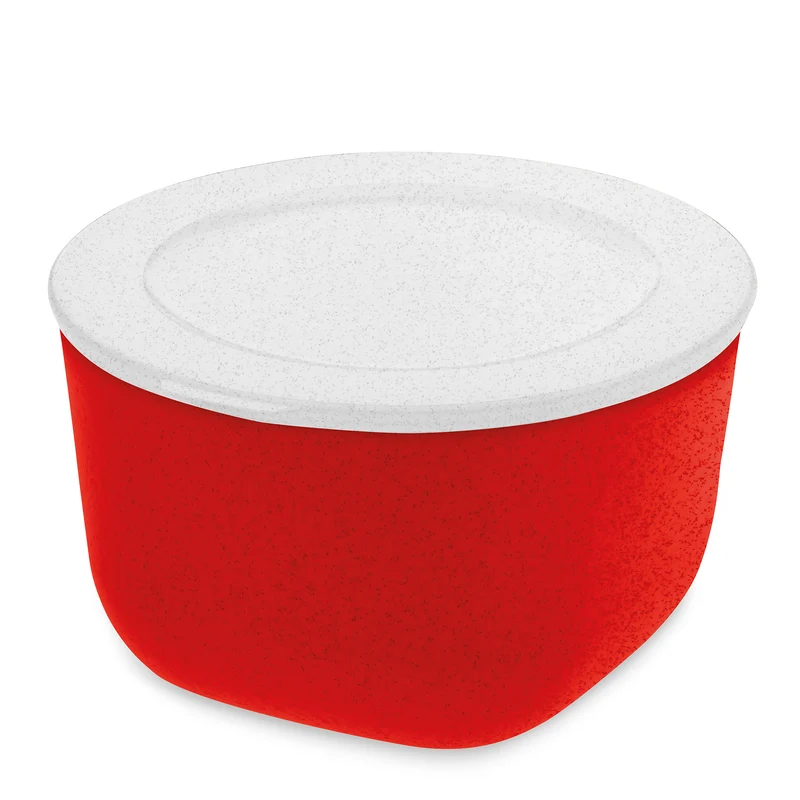 Box mit Deckel CONNECT BOX 1