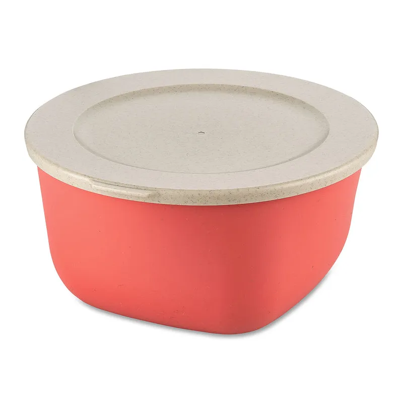 Box mit Deckel CONNECT BOX 2