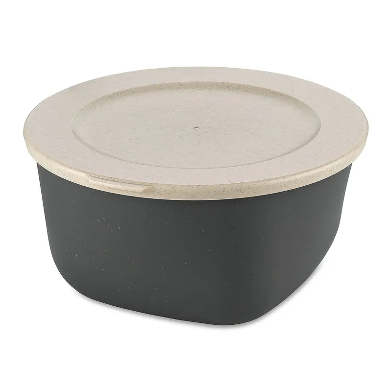 Box mit Deckel CONNECT BOX 4
