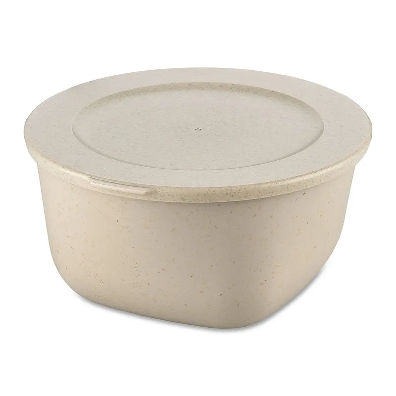 Box mit Deckel CONNECT BOX 4