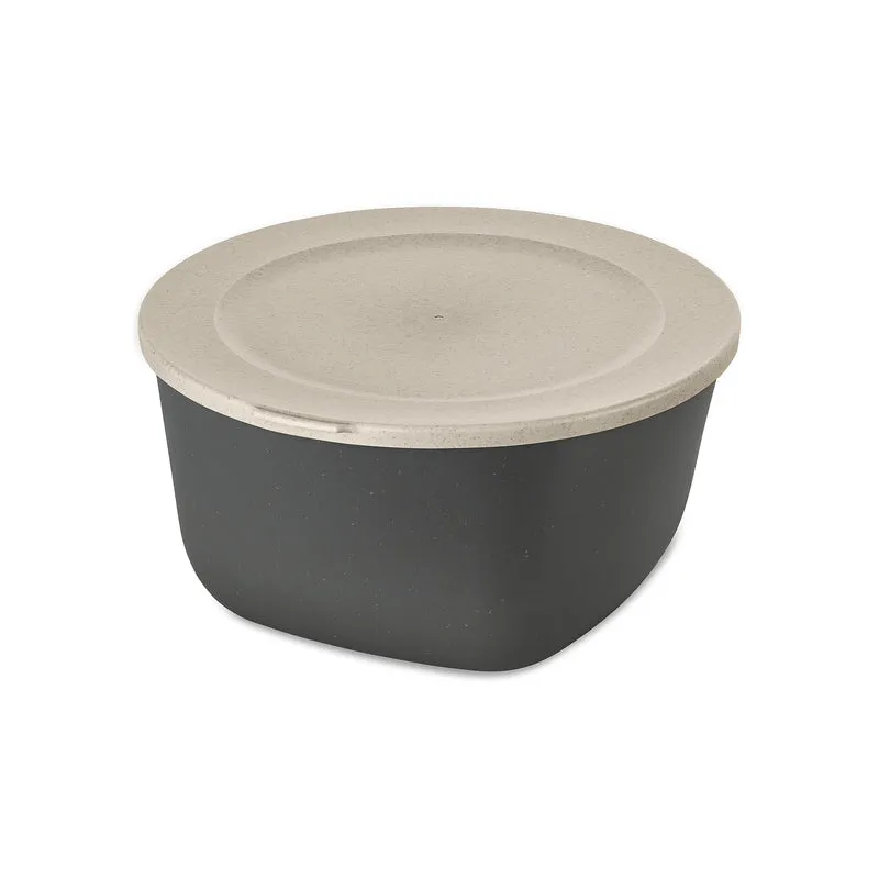 Box mit Deckel CONNECT BOX 2