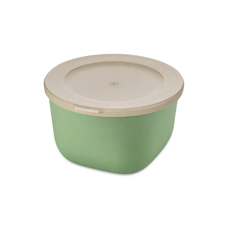 Box mit Deckel CONNECT BOX 1