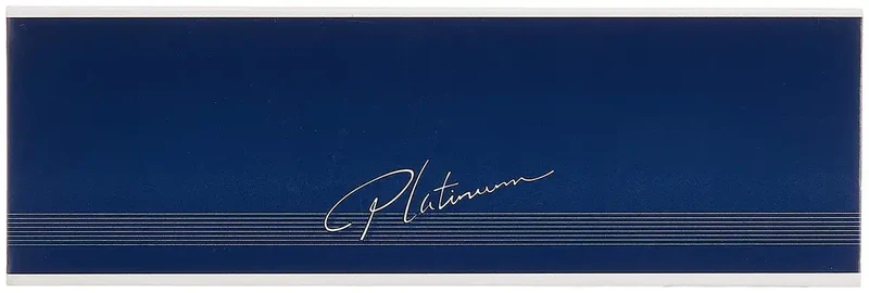 Platinum Fountain Pen BSL-3400 Beige Genuine Cow Leather Oil-Based Ballpoint