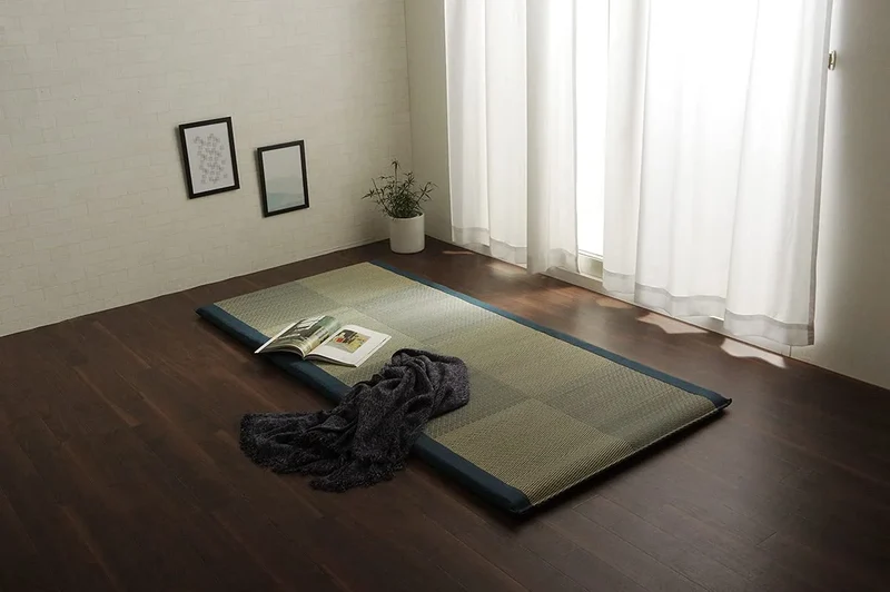 Ikehiko Corp Japan Igusa Sheets Bed Pad Noah Raku Raku Single Blue
