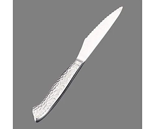 Endo Shoji Lightweight 230mm Stainless Steel Steak Knife